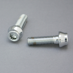 Flange 12-Point Screw